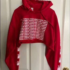Demi Lovato tour cropped hoodie